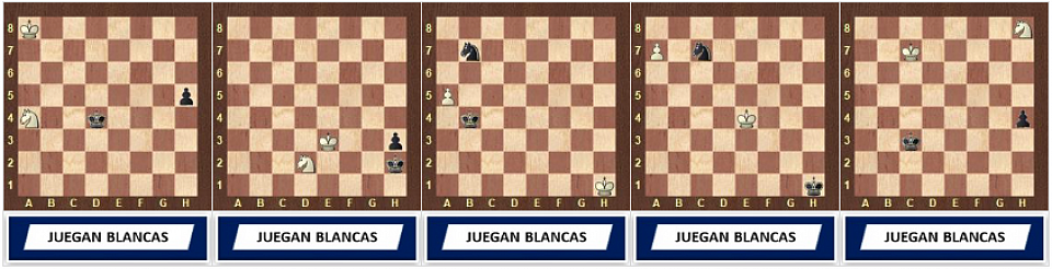 Elementales De Caballo vs Peón 1.1